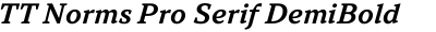 TT Norms Pro Serif DemiBold Italic